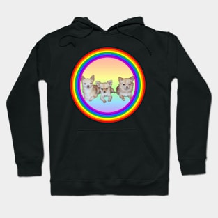 Chihuahua Brothers Hoodie